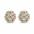 Stud Earrings