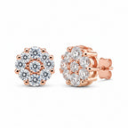 Stud Earrings